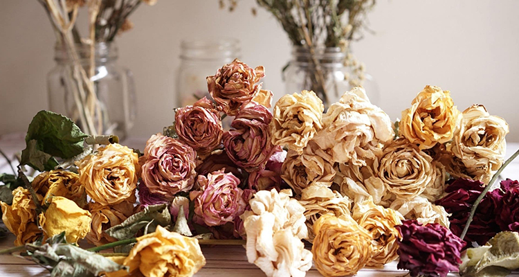 Flores