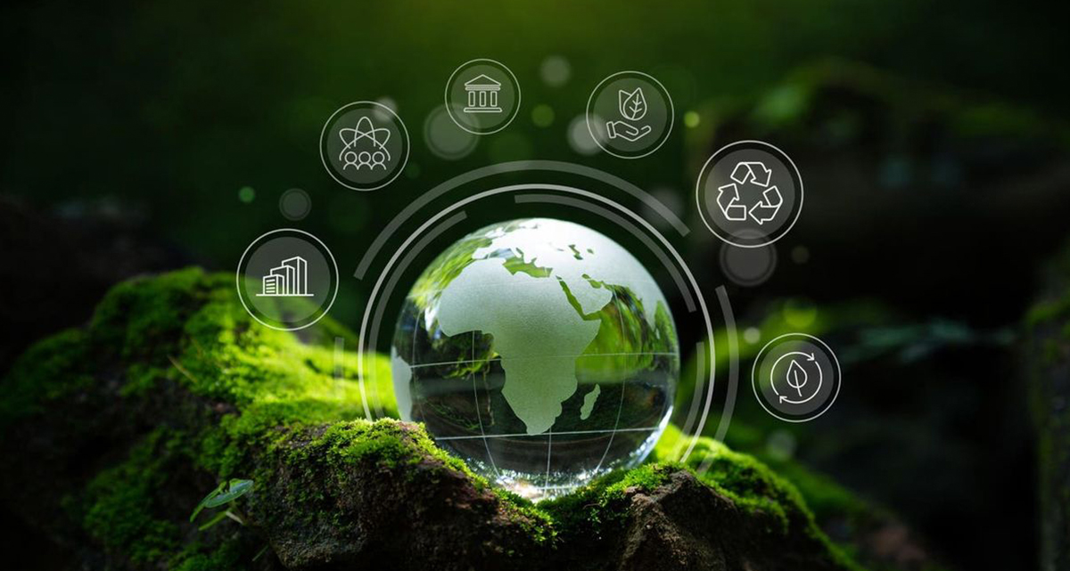 Sieno Congelo-siccatio Research Institutum Technologia (Jiangsu) Co., Ltd
