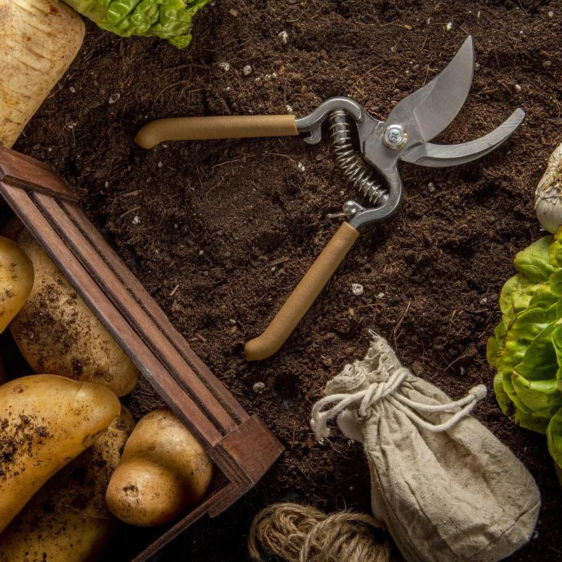 Bulla Lautus pro agriculturae Products