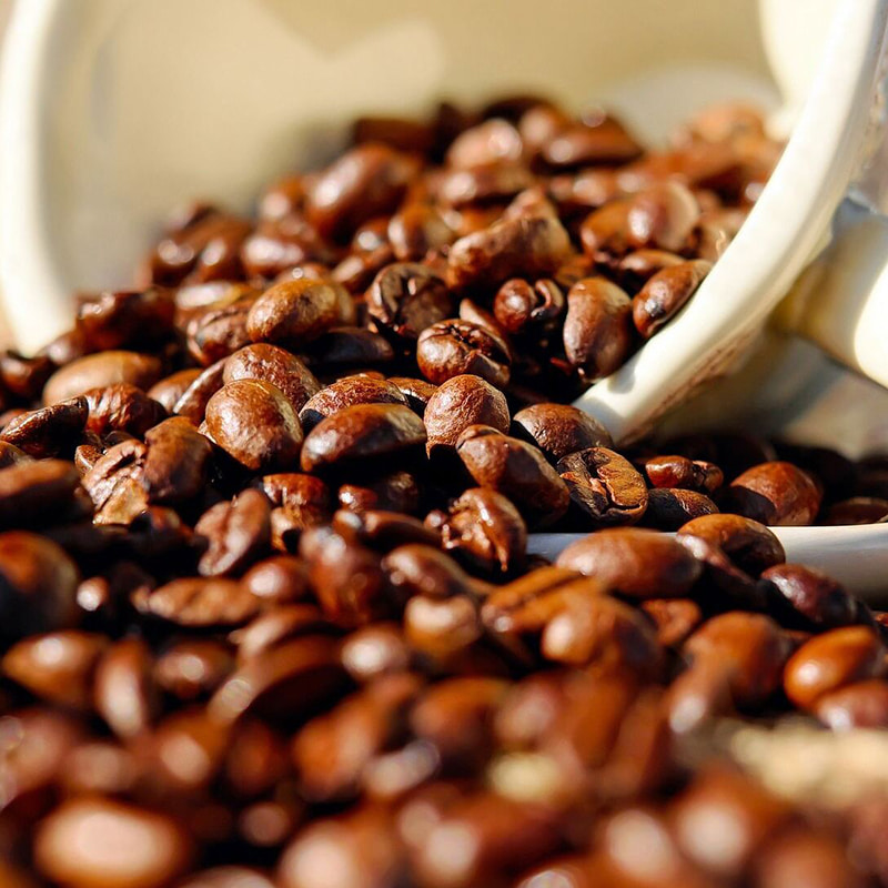 Coffee Sorter