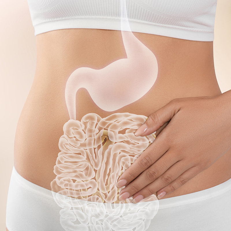 Low-temperate Centrifuge pro Gastrointestinal Health Congelo-Arida Products