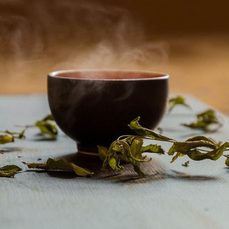 Tea Low Temperature Frigus Extraction Equipment